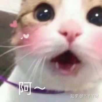 1996年前出生没有出生证明如何办理出生公证双认证 以荷兰为例 知乎