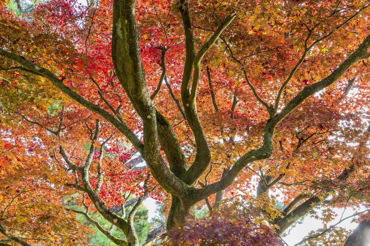 宏基电脑怎么样啊