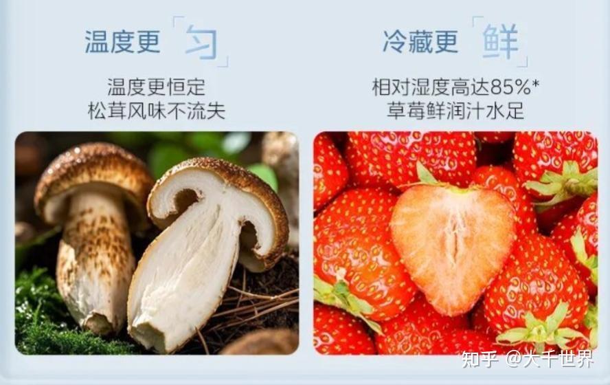 从果蔬到海鲜肉类到珍品干货,冰箱如何挑战全食材原鲜?618冰箱选购