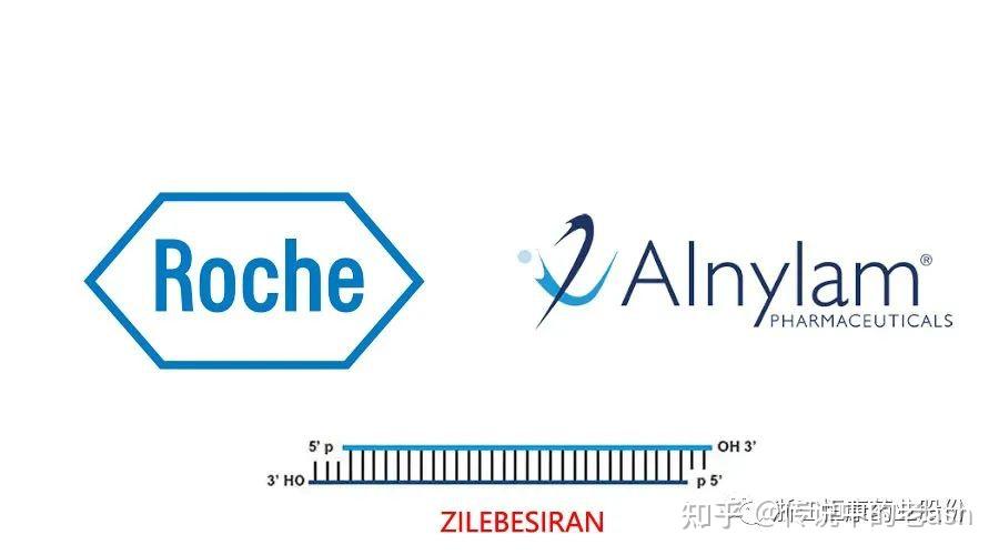 Roche 宣布与 Alnylam 合作开发和销售siRNA治疗高血压药物Zilebesiran - 知乎