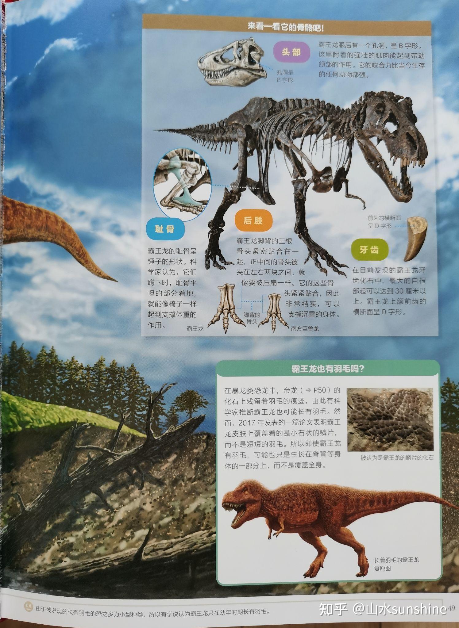 令孩子痴迷的科普书《小学馆大百科:恐龙》 
