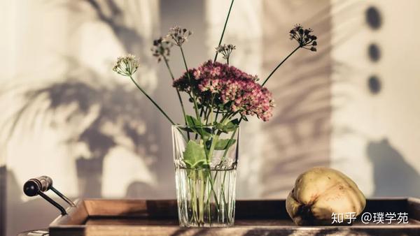 11月26日 1月2日生日书 星星王子陪你过生日 知乎