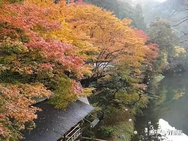 京都高雄古寺通幽 清滝溪谷红叶晚秋 知乎