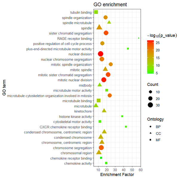 R语言clusterProfiler包GO富集分析（enrichplot包、GOplot包和ggplot2绘图） - 知乎