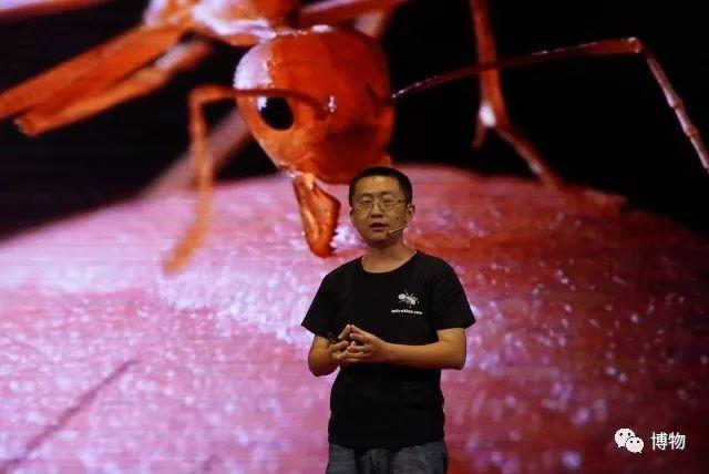 行军蚁很残暴那只是在电影里