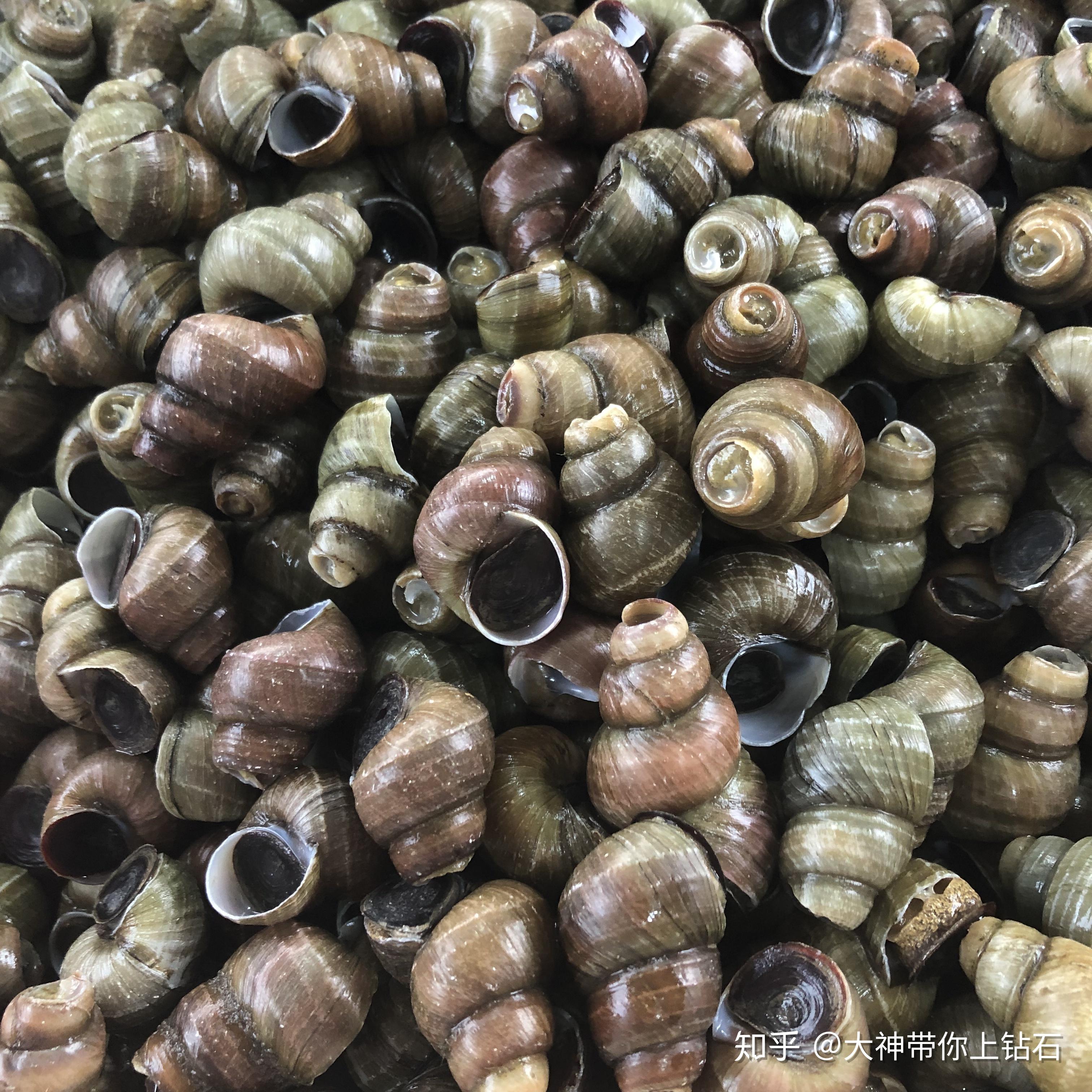 柳州人教你如何自己制作地道的螺蛳粉 - 知乎