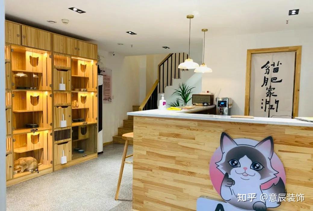 猫咖店如何装修设计?打造超治愈高颜值猫咖! - 知乎