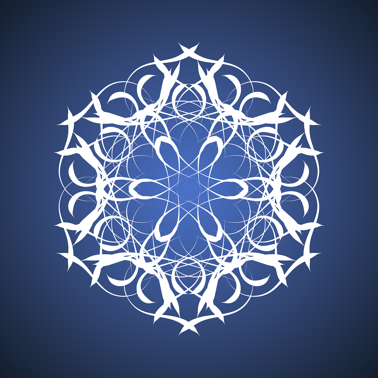 4. 确认投诉已提交