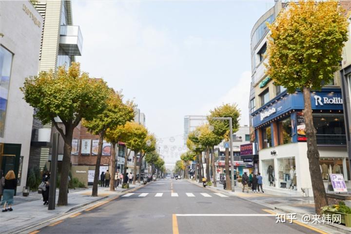 这条街道长达700多米,秋冬季节走在林荫路的街道上,周围遍布着一排排