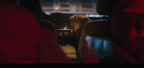 《冷猫狗》今年最颠覆！限制级禁忌挑战