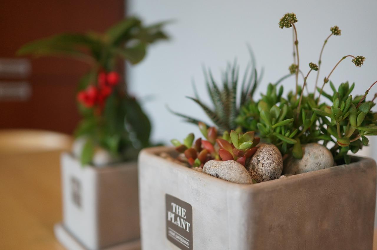 如何解决紫砂盆渗水