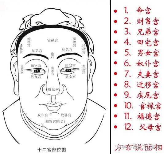 面相十二宫图解,爱好者一定要收藏! - 知乎