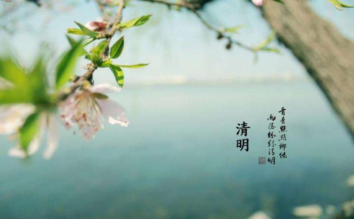 清明扫墓 这些讲究要注意了 知乎 清明扫墓 这些讲究要注意了 知乎
