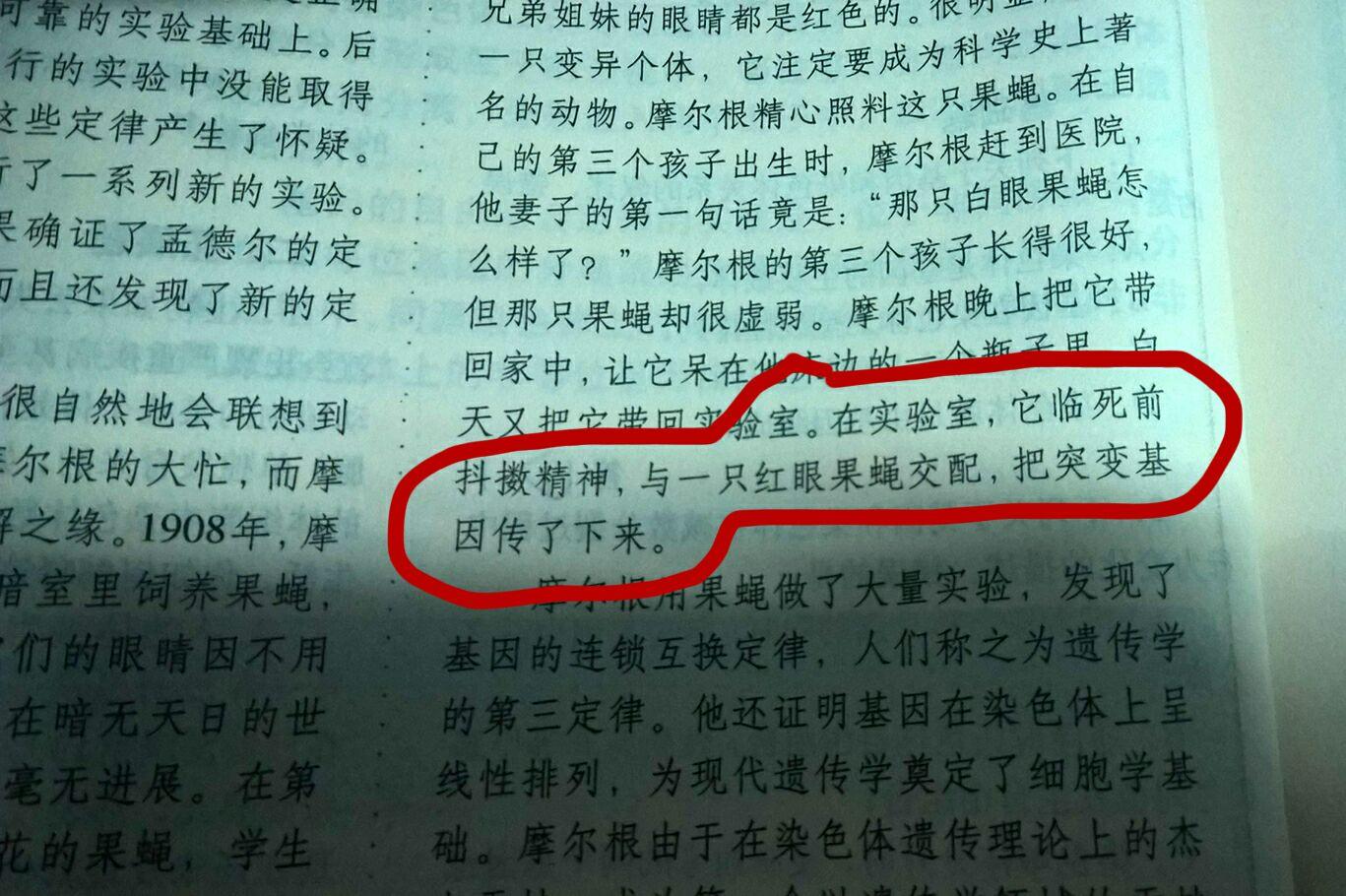 为什么会有回光返照? - 芥末面的回答 - 知乎