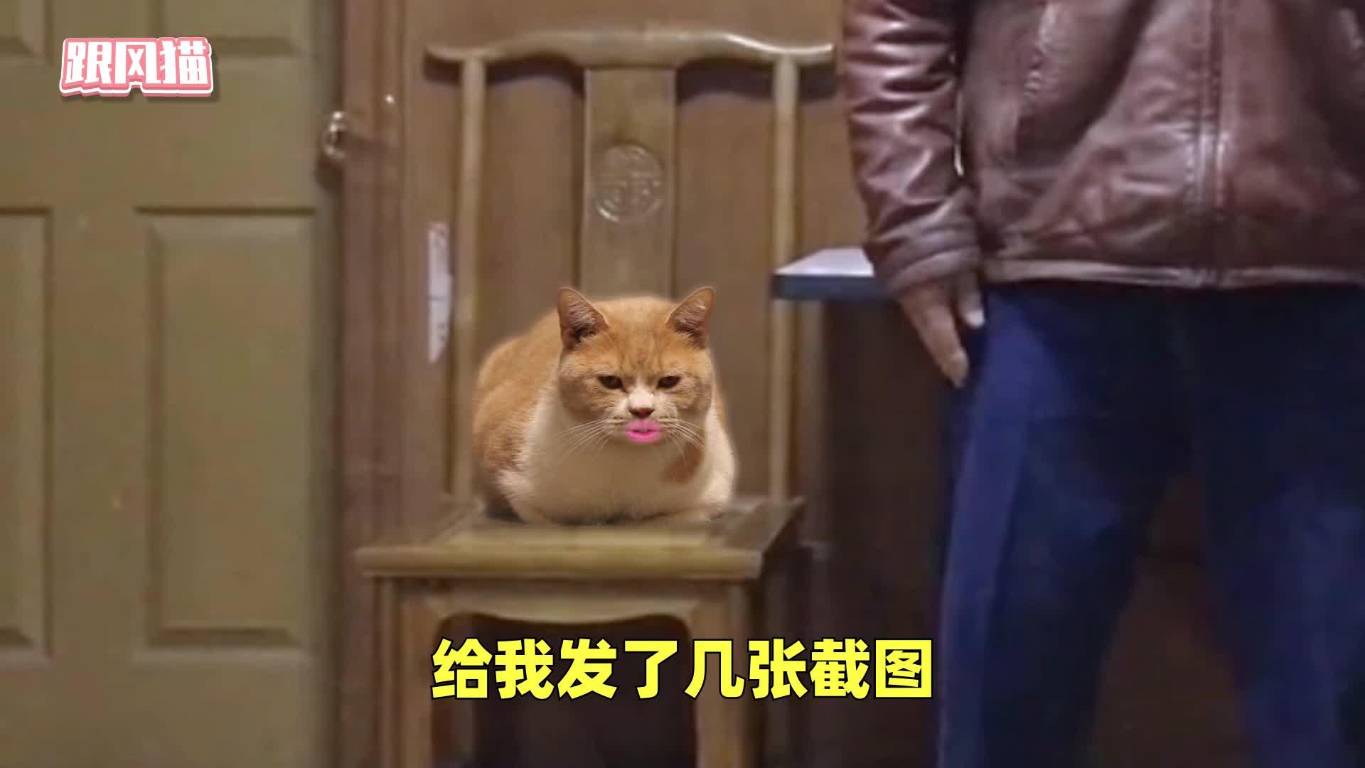 【马保国】:新垣结衣首次回应马保国事件