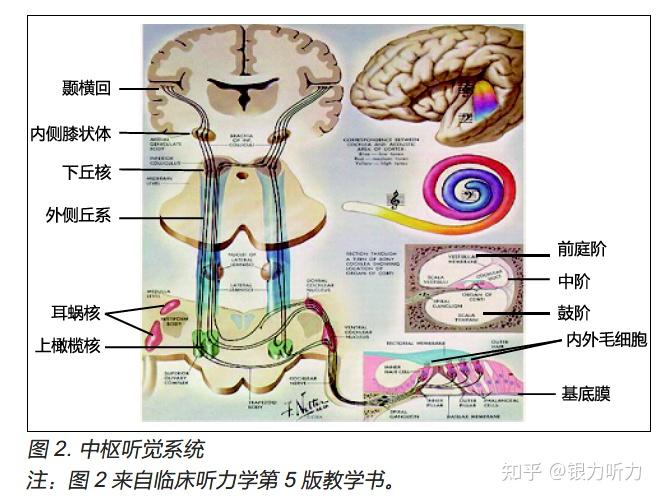 耳聋与助听设备的选择(1) - 知乎