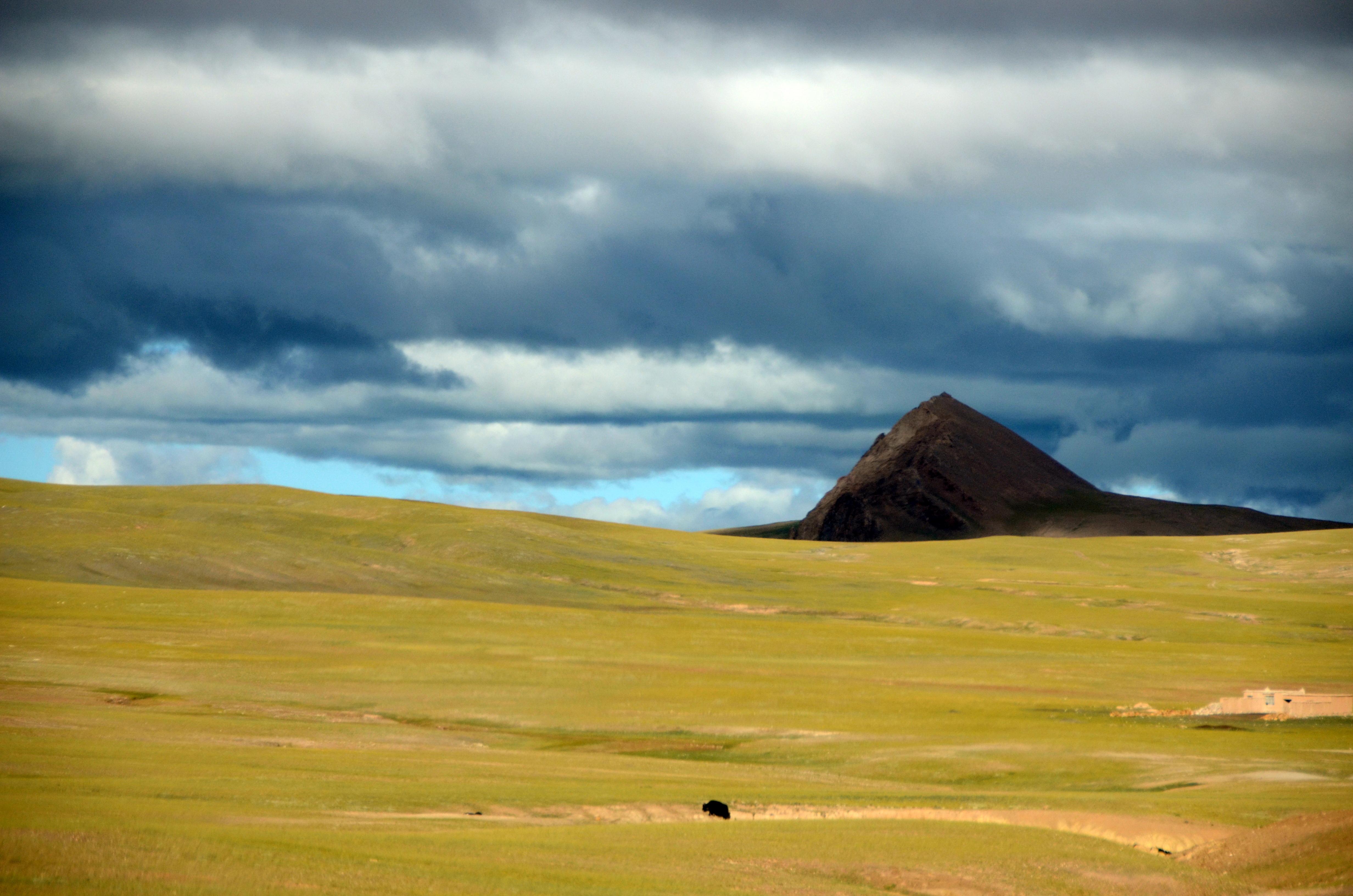 西藏那曲双湖县以北约75公里的普若岗日冰川是如何形成的?