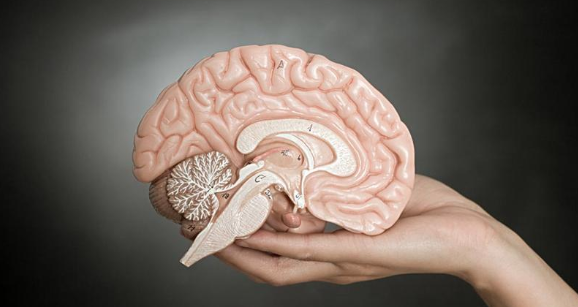 多模态意识评估 -- 引领意识障碍精准诊断新时代