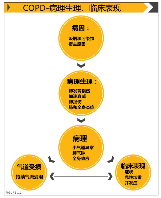 感冒水果可以吃什么_感冒水果能不能吃_感冒最怕三种水果