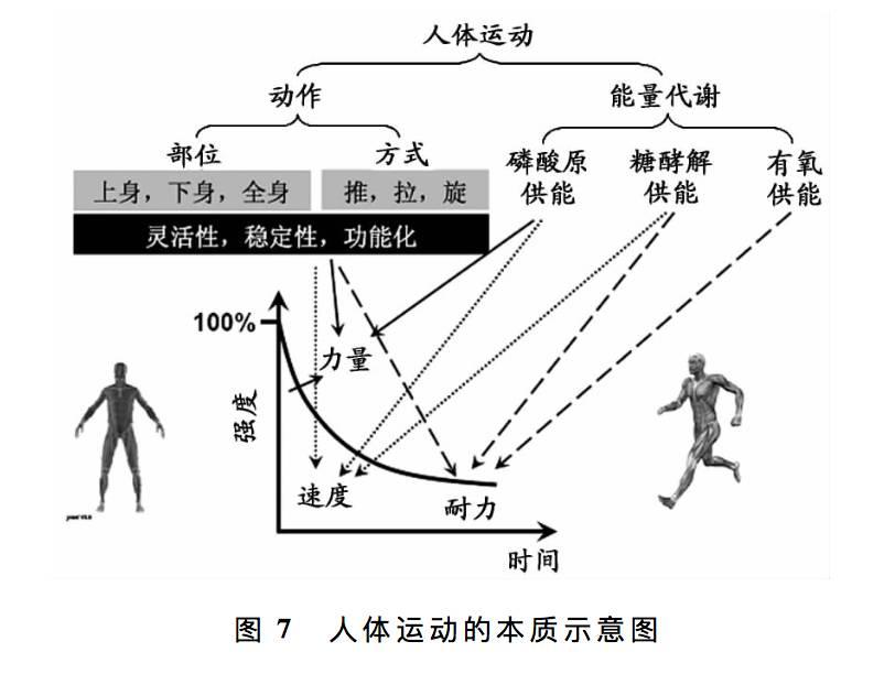 动作与能量代谢