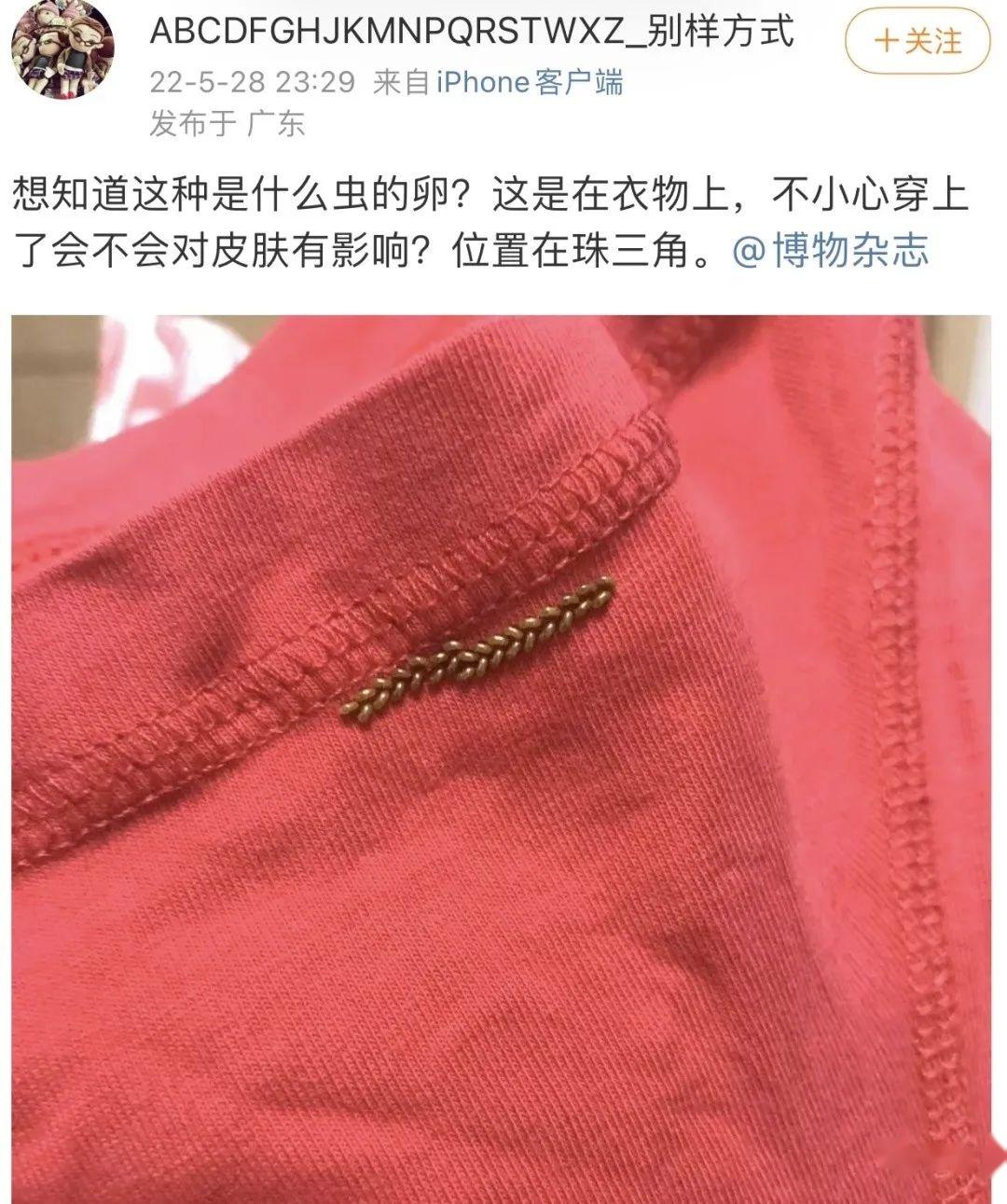 比衣服上发现虫卵更可怕的是