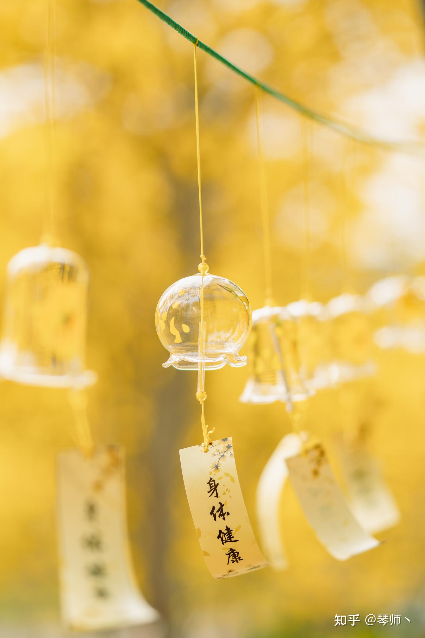 选性价比高的人像镜头,要考虑哪些选型标准和适配条件?