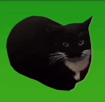 猫meme绿幕素材合集分享 - 知乎
