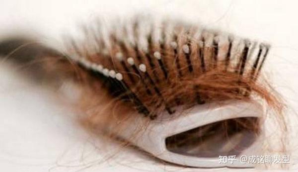 头发是从发根长，还是从发梢长？头发掉了，还会长出来吗？ - 知乎