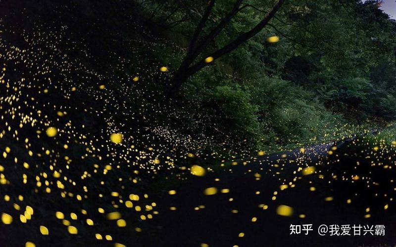 醉言火木 - 知乎