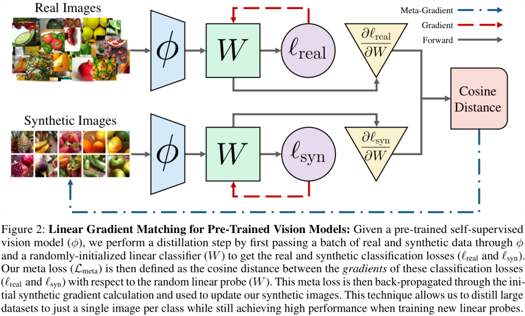 NeurIPS 2025 | MIT新研究:数据集蒸馏迎来“线性时代”,一张图顶半个ImageNet? - 知乎
