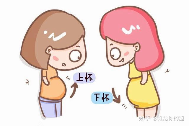 孕妈上怀与下怀有何不同? - 知乎