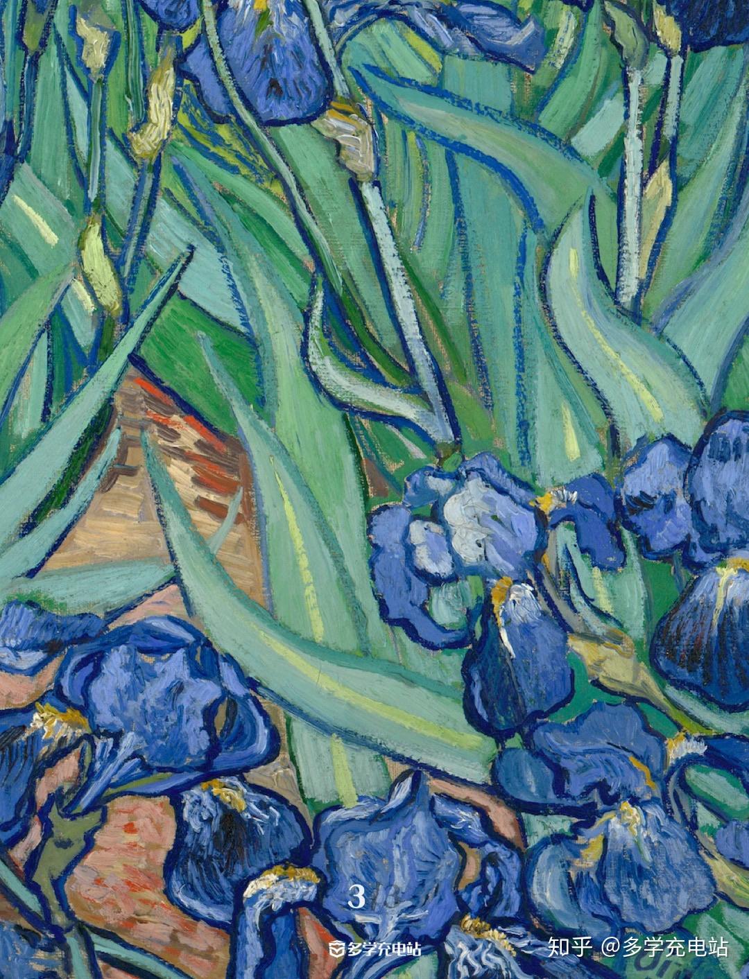 鸢尾花本是一种很平凡的植物,是梵高赋予它精彩的形象与色彩以及永恒