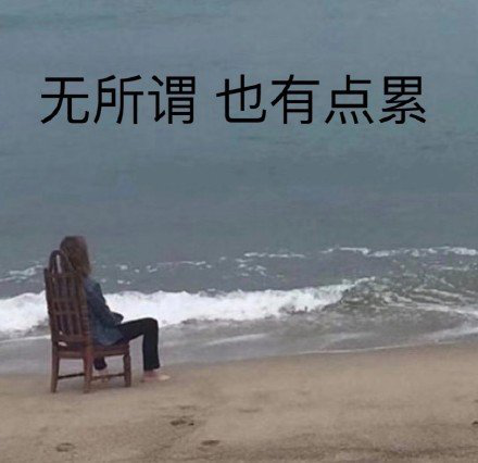 任务沙雕文案,一本正经的沙雕文案