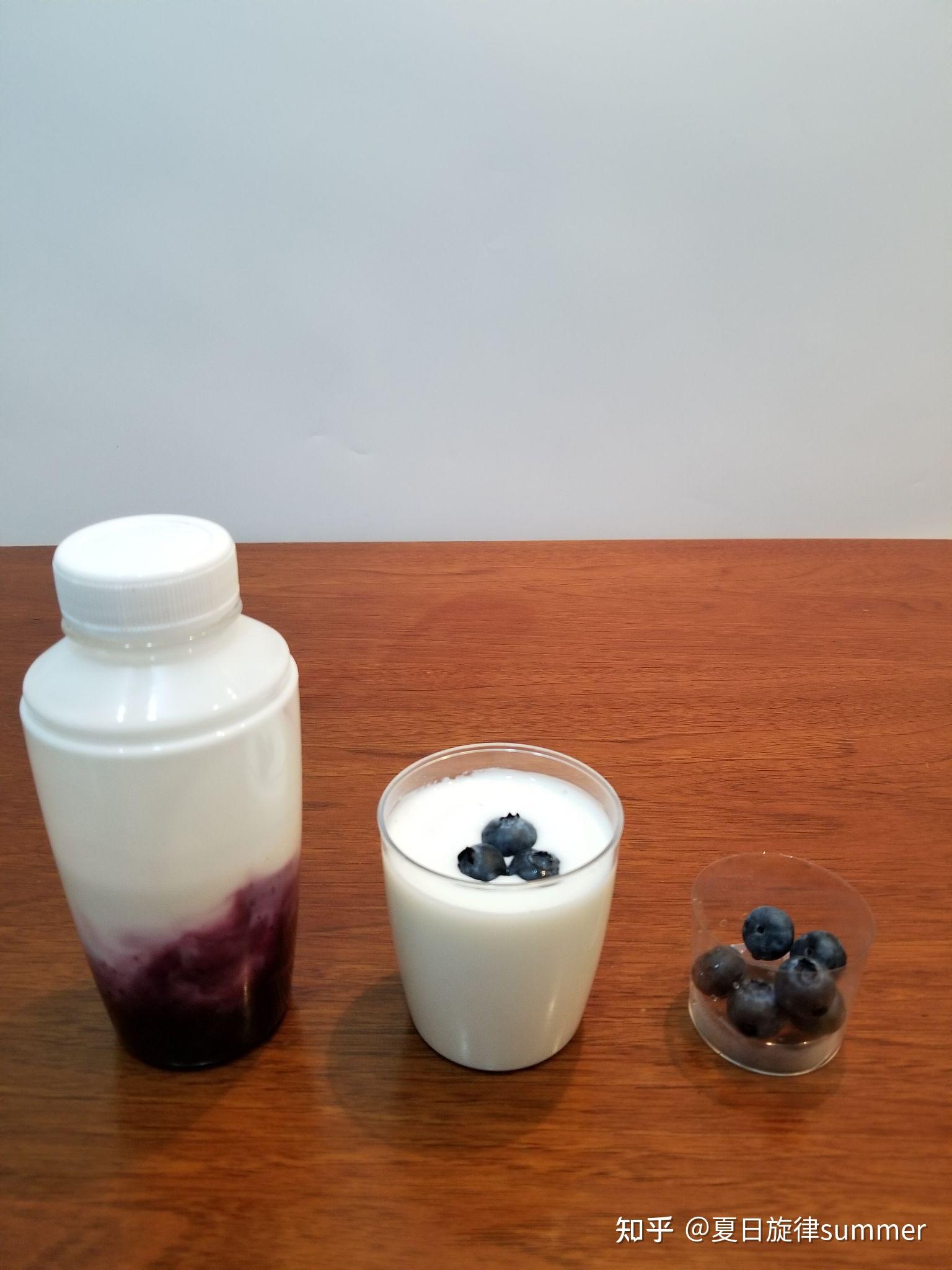 蓝莓酸奶片怎么做_蓝莓酸奶片的做法_魔镜的妖精_豆果美食