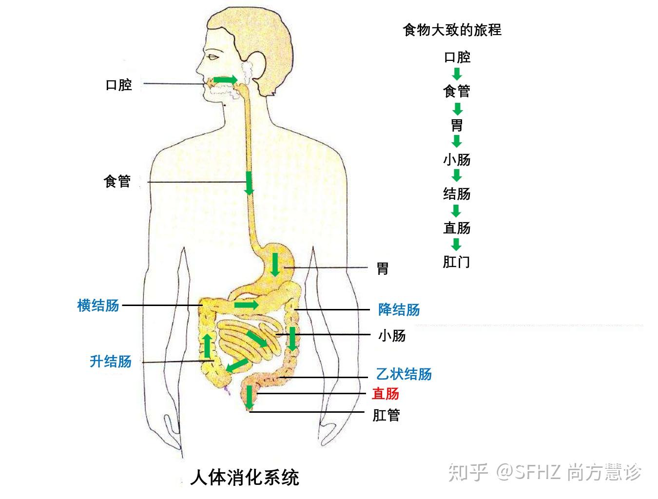胃癌术后：如何通过合理的营养饮食，更好的应对术后并发症，提升生活质量 - 知乎