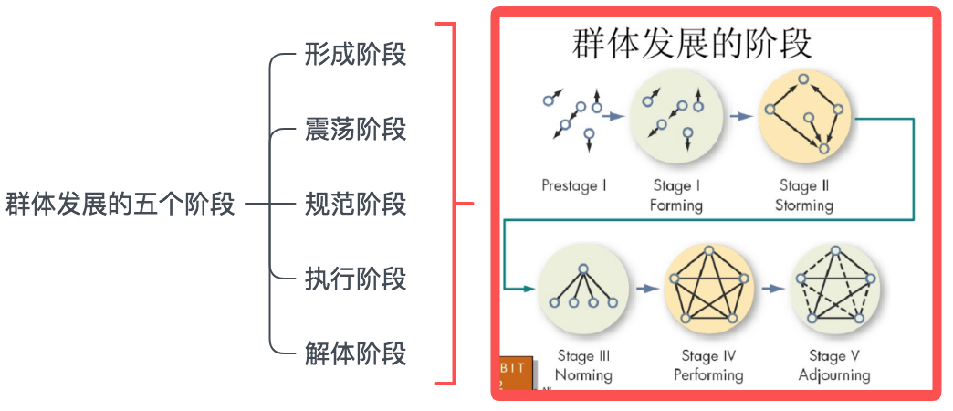 群体发展的五个阶段给提为什么要加入群体?