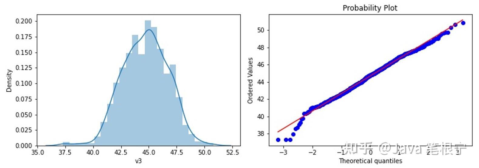 Python Python
