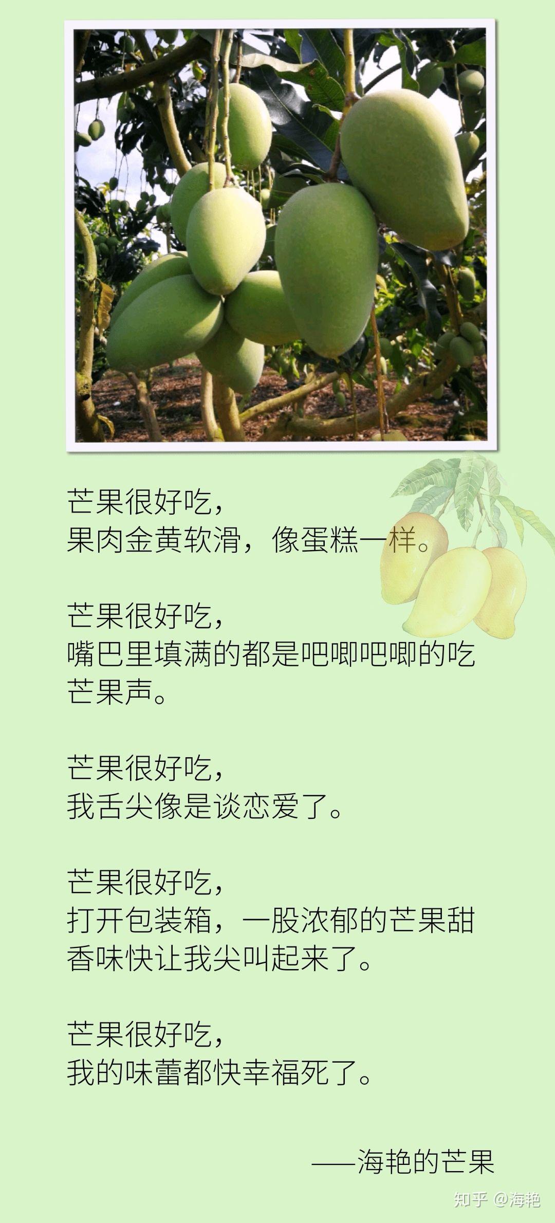 那些年我给芒果写的文案文案人都看哭了