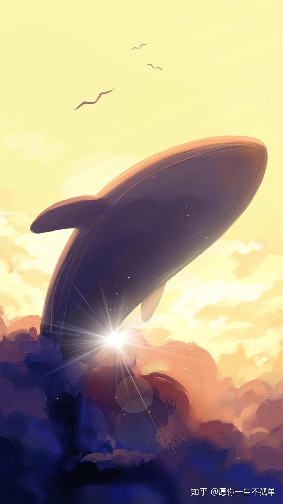 哪里可以找到可以用来当壁纸的鲸鱼蓝鲸图片呢