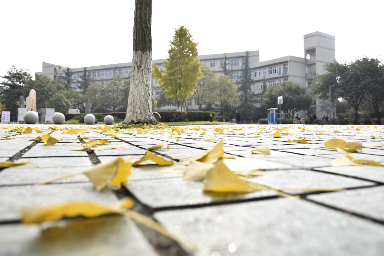 被录取到西南石油大学应用化学,女生,之后才发