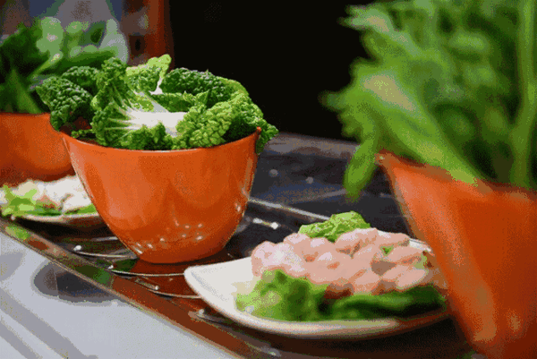 夏季旋转小火锅依然是火锅业的旺季