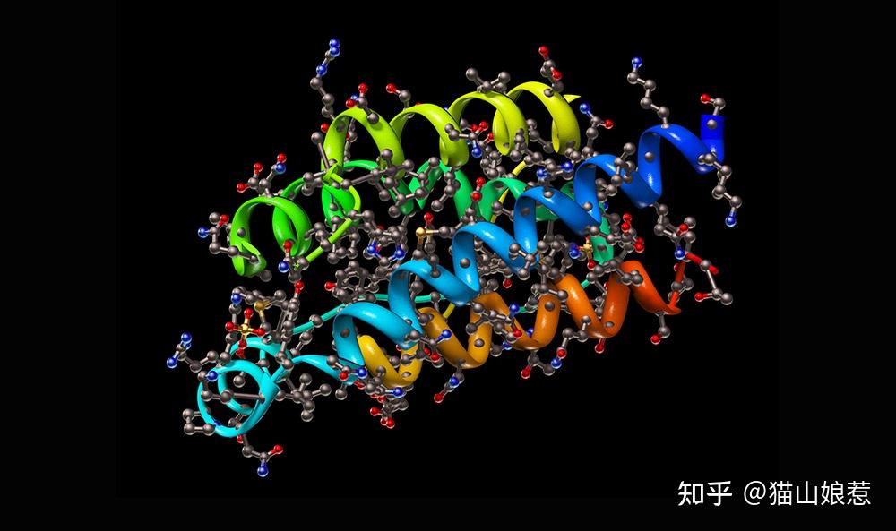 蛋白三维结构图图片