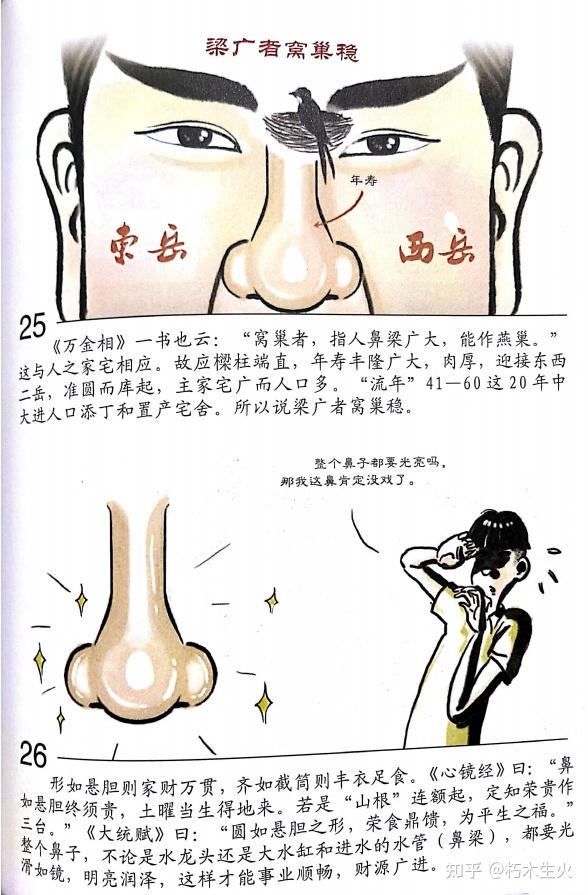 东山相法(东山面相)——第二十三篇:五官 审辨官(鼻子) - 知乎