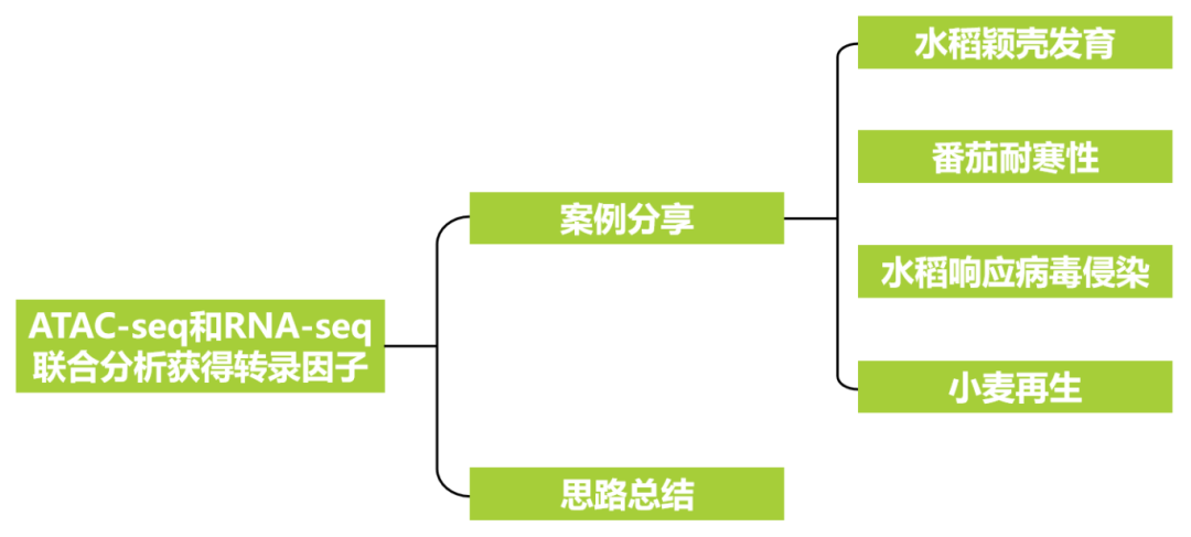 ATAC-seq和RNA-seq联合分析获得转录因子 - 知乎