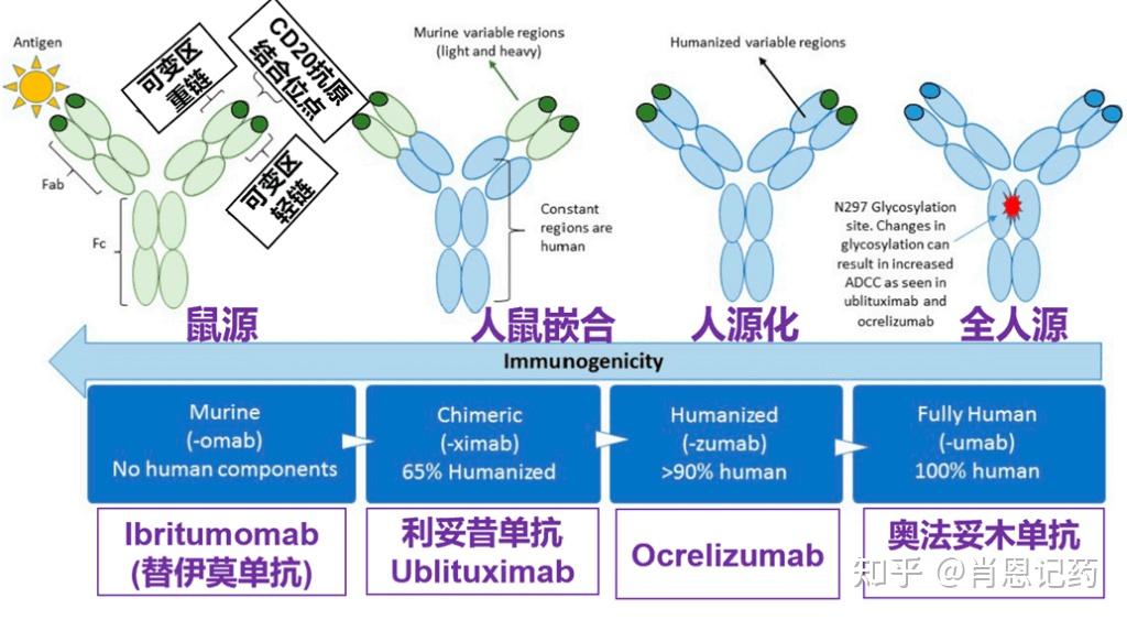 记住所有fda生物药 