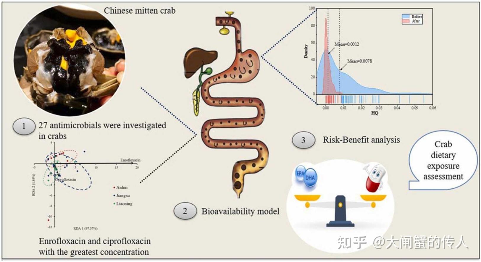 淡水中心在中华绒螯蟹膳食质量安全形成机制方面取得重要进展