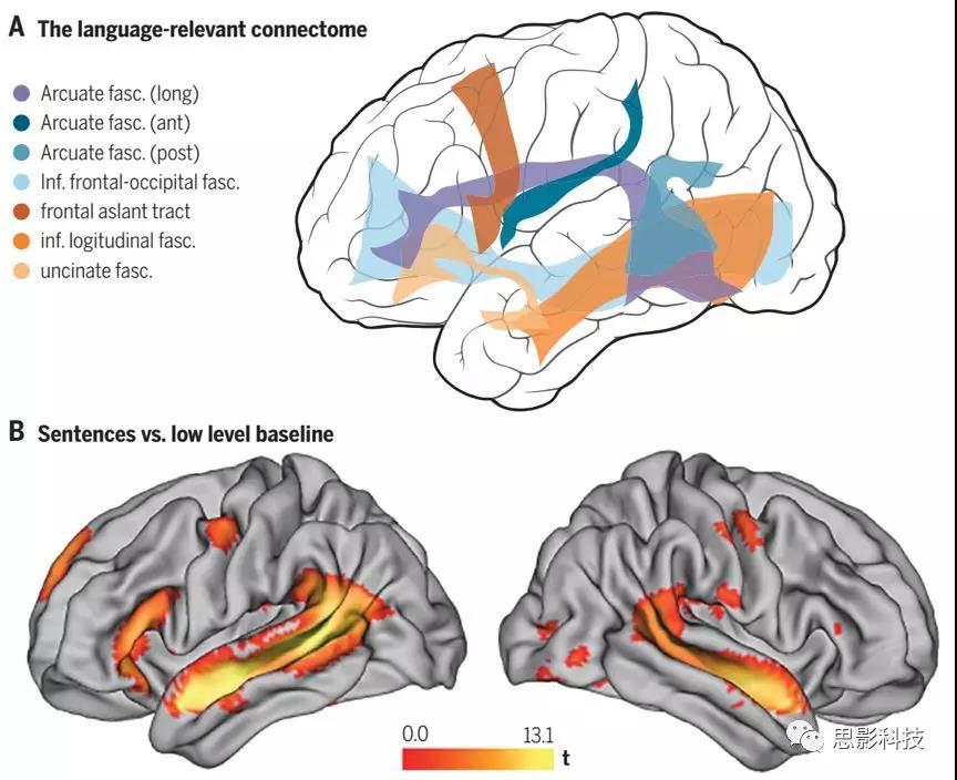 Science:语言在单字层面以上的神经处理 - 知乎