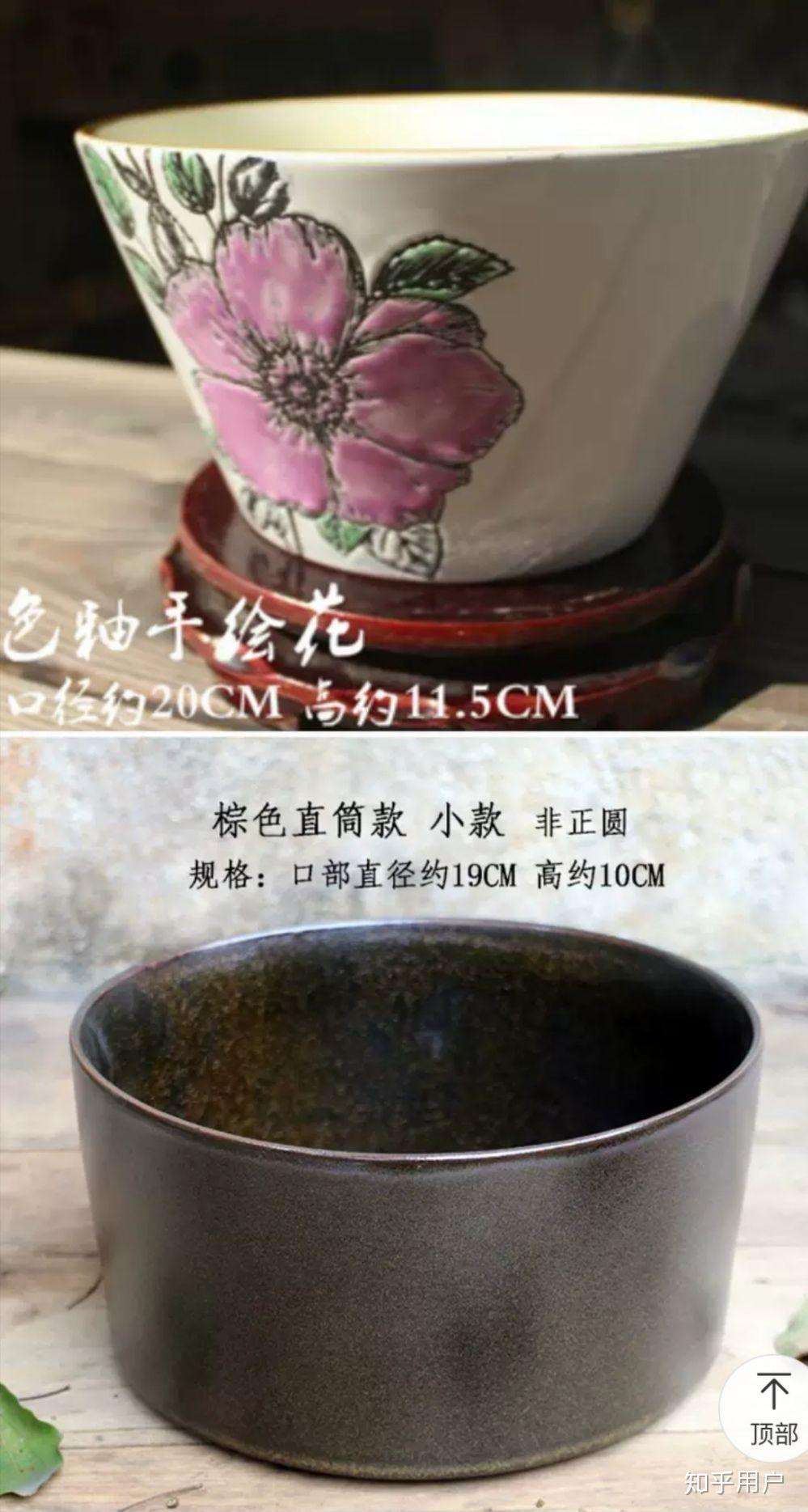 碗莲怎么水培?(水培碗莲种植方法图解)