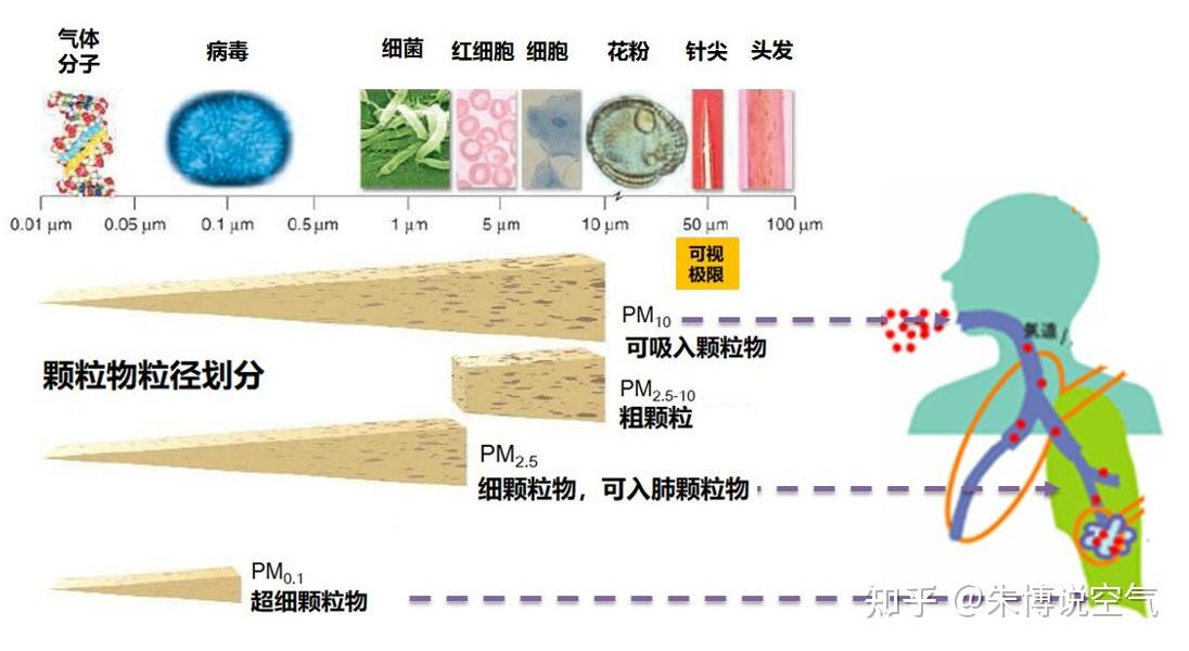 空气污染中颗粒物的称谓与识别