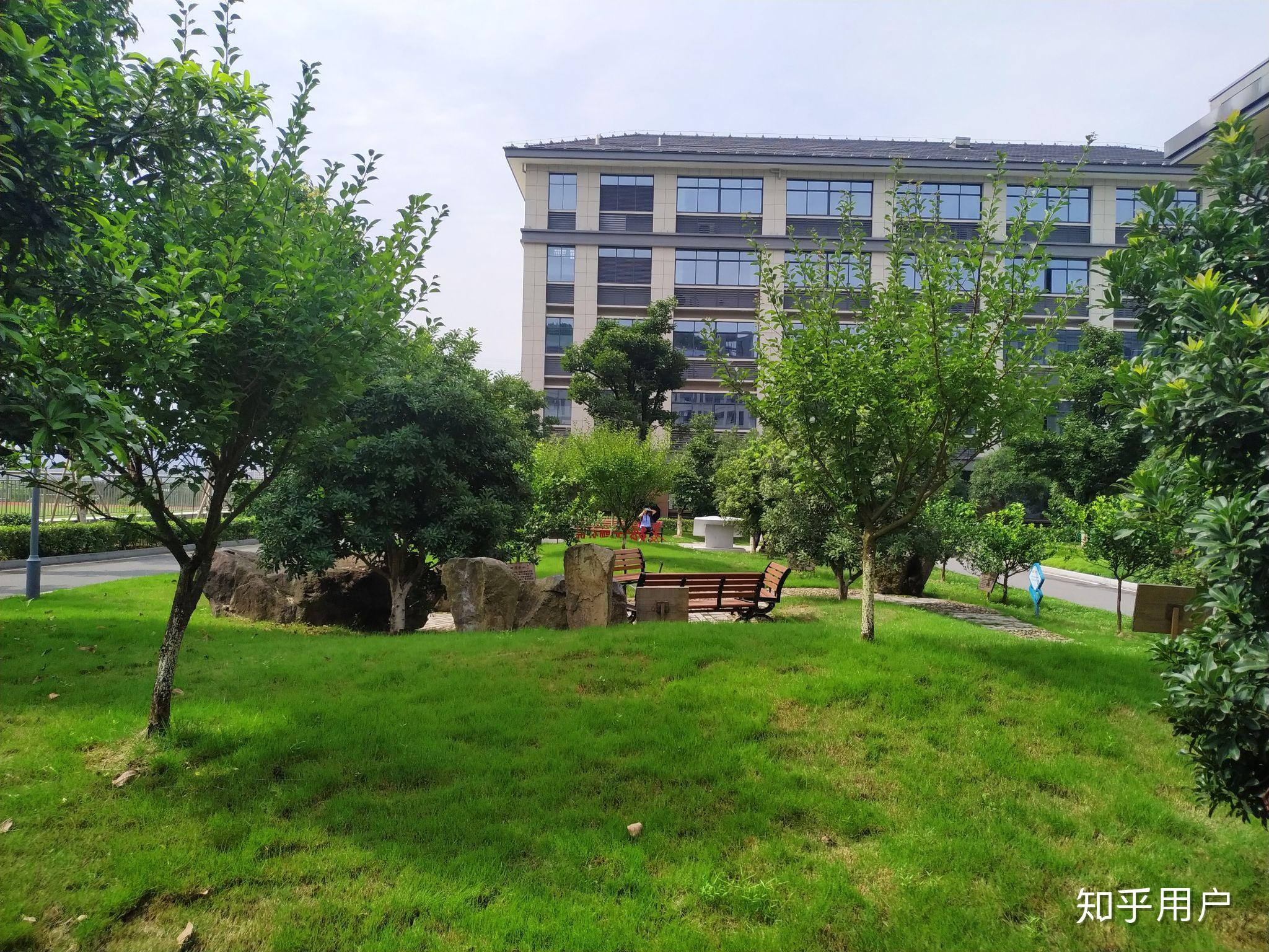 在浙江省嵊州市高级中学读书是一种什么体验? - 知乎